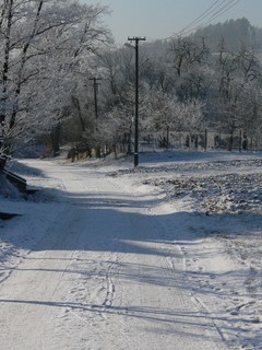 Zima v Pašovicích